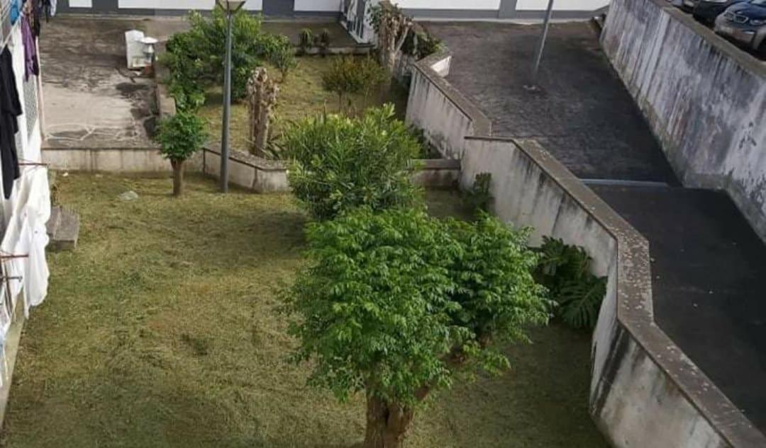 Apartamento Orquidea Ponta Delgada Dış mekan fotoğraf