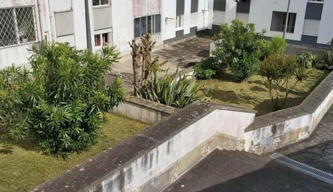 Apartamento Orquidea Ponta Delgada Dış mekan fotoğraf